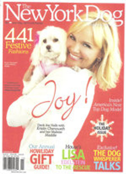 2006 Press - 19