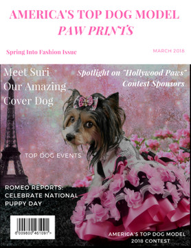 Spring Into Fashion: Styles For Your Dog