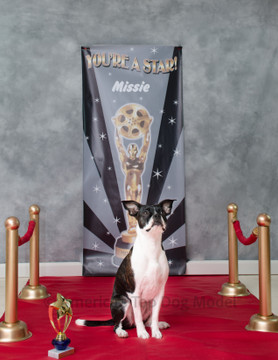 America's Top Dog Model 2018 Winners