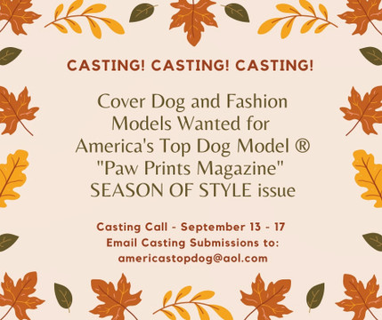 5 Tips to Nail a Dog Model Casting