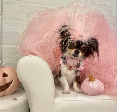 ​A Pink Howl-O-Ween