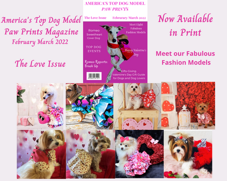 Paw Prints Magazine