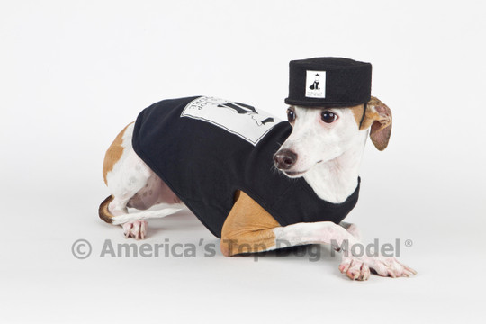 5 Tips for Launching Your Dog's Modeling Career