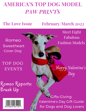 Paw Prints Magazine February/March 2022