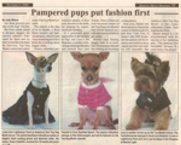 2005 Press - 7