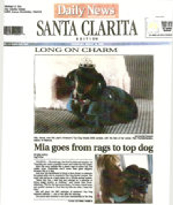 2006 Press - 13