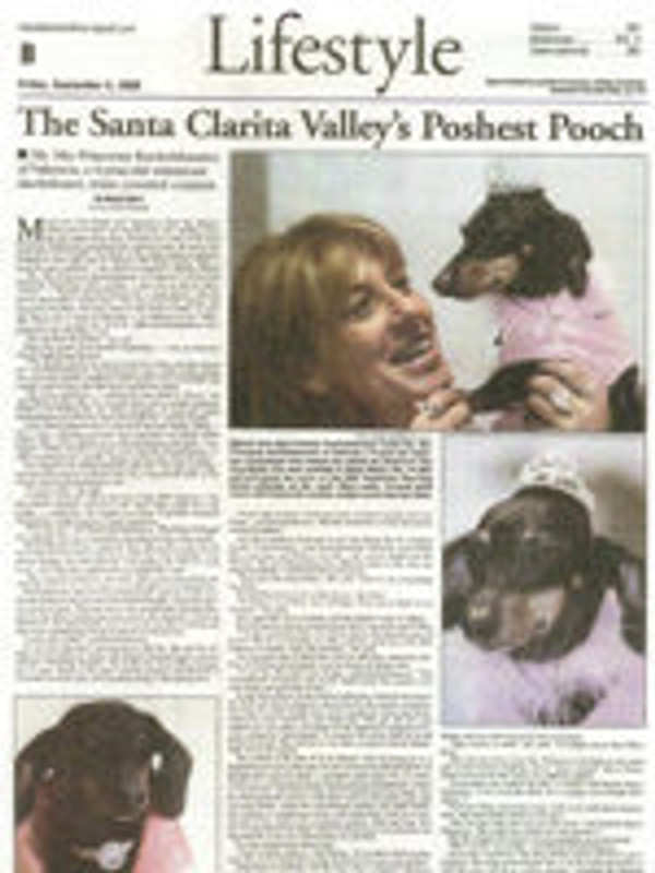 2006 Press - 16