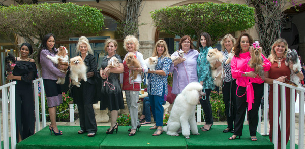 Top Dogs Strut the Runway for Charity