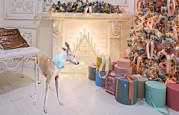 Keep Pups Happy and Safe during the Holiday Festivities