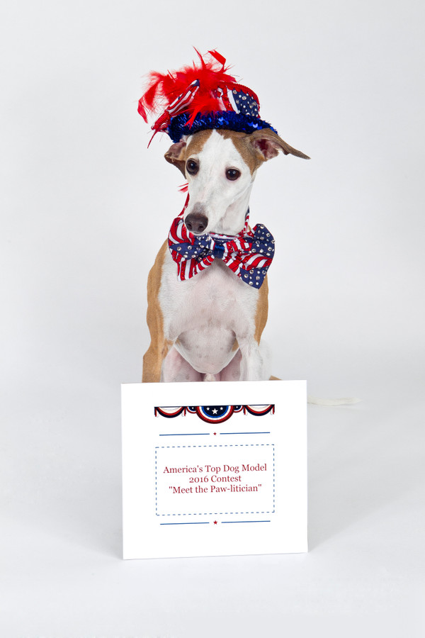 America's Top Dog Model (R) 2016 Contest