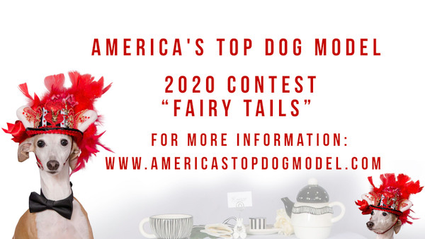 2020 Dog Model Contest - Virtual Casting Call 