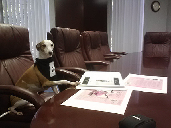 Take Your Dog to Work Day 