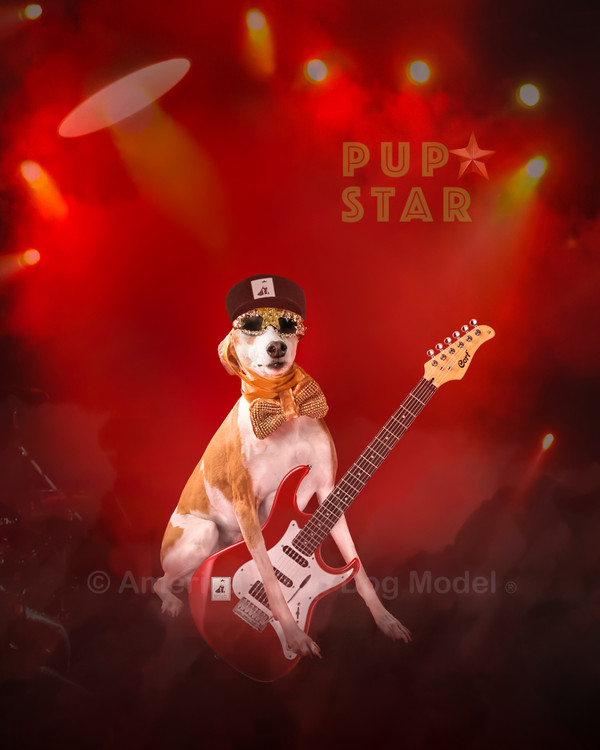 How to Become a Pup Star