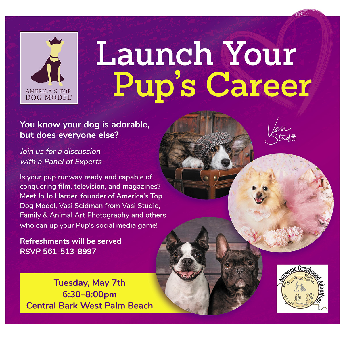 How to Launch Your Pup's Career Americas Top Dog Model (R)