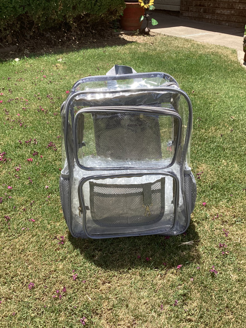 Large Clear Backpacks