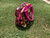 Pink Owl Insulated Lunch Bag
