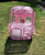 Large Clear Backpacks
