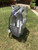 Large Clear Backpacks