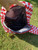 Checkered School Backpack Sets