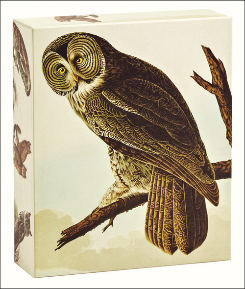 Audubon Owls: QuickNotes