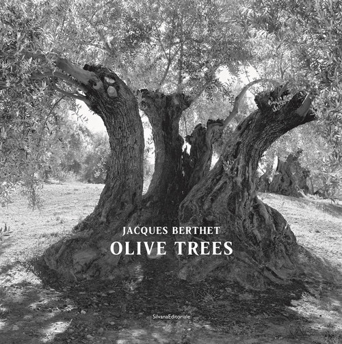 Olive Trees: Jacques Berthet