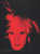 Andy Warhol: Exhibition Catalogue (Hardback)