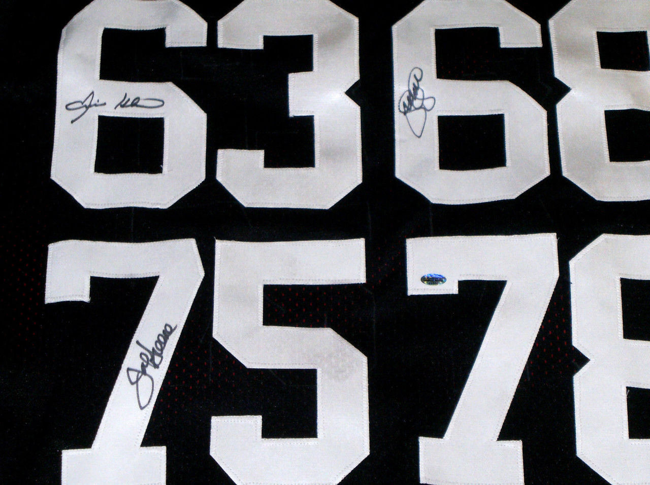 steel curtain autographed jersey