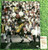 BART STARR GREEN BAY PACKERS AUTOGRAPHED 16X20 PHOTO JSA