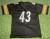 TROY POLAMALU AUTOGRAPHED PITTSBURGH STEELERS JERSEY GAI LAST ONE