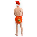Taste of the Holidays Wrap - Clearance