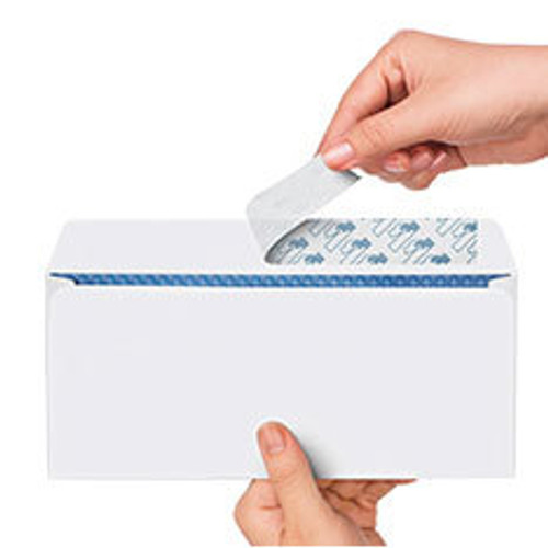 9.5 x 4.125 Full Color Security Envelope #10 with Peel and Seal Flap