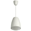 TOA PE-64 Music/Paging Speaker, Pendant