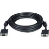 NTI VEXT-PLNM-75-MM VGA Plenum Cable, Male to Male, 75 feet
