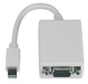 NTI DPM-VGA-CNVTR Mini DisplayPort Male to VGA Female Adapter Cable, 0.6 feet
