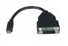 NTI dpmm-dvidf-cbl Mini DisplayPort Male to DVI-D Female Adapter Cable