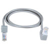 NTI cat5e-dua-2-gray CAT5e Down Angle to Up Angle Patch Cords, 2ft, gray