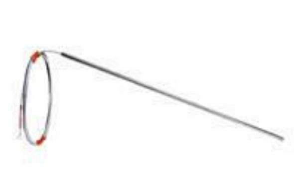 NTI e-rtds-a1112 All-Purpose 100 Ohm RTD Sensor, -328F to +1112F