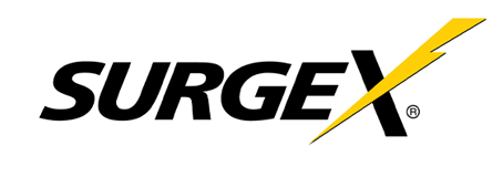 SurgeX 1707101R Online / Double Conversion UPS, 700VA, 2RU (UPS-700-OL)