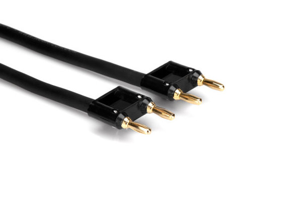 Hosa SKJ-630BB Speaker Cable, Hosa Dual Banana to Same, 30 ft