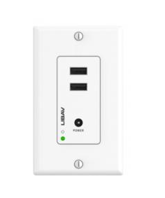 Liberty Cable INT-USB2-50CWP Intelix Series USB 2.0 High Speed Client / Remote Side Extender Wall Plate
