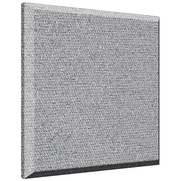 Auralex B222PET ProPanel B222PET