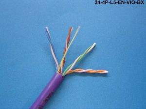 Liberty Cable 24-4P-L5-EN-VIO-BX CAT5E 350 24/4P UTP CMR VIOLET