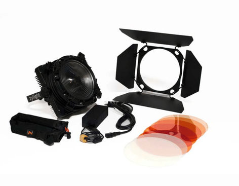 Zylight 26-01059 F8-100 Daylight Single Head ENG Kit - Gold Mount