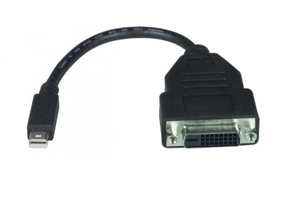NTI dpmm-dvidf-cbl Mini DisplayPort Male to DVI-D Female Adapter Cable