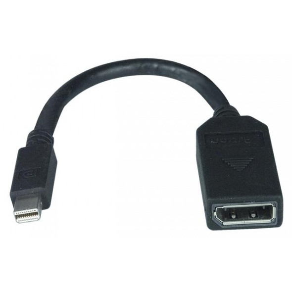 NTI dp-dvid-3-mm DisplayPort to DVI-D Cable, Male to Male, 3 feet