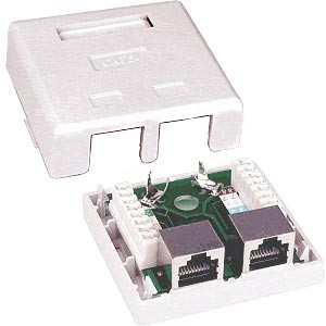 NTI box-sm5e-wl-2-shld CAT5e Shielded 2-Port Surface Mount Box