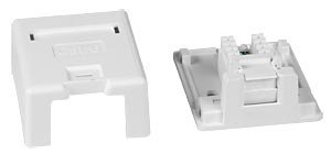 NTI box-sm6-wl-1 CAT6 1-Port Surface Mount Box