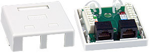 NTI box-sm5e-wl-2 CAT5e 2-Port Surface Mount Box