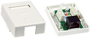NTI box-sm5e-wl-1 CAT5e 1-Port Surface Mount Box