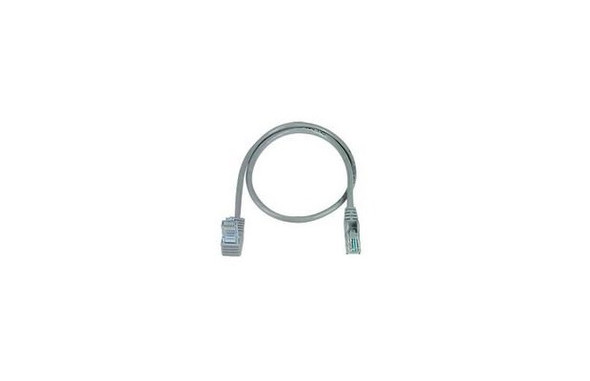 NTI cat5e-uas-2-white CAT5e Up Angle to Straight Cable, White, 2 feet